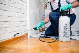 Best Fumigation Services  in San Juan Bautista, CA